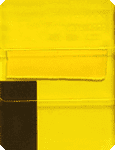 D081
